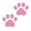🐈‍⬛