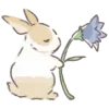 🌷