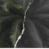 🤩
