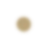 🟠