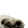 ⭐