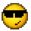 😎