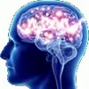 🧠