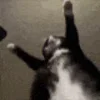 🕺