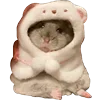 🐹