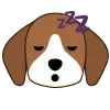 😴