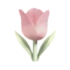 🌷