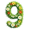 🌱