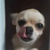 🤩