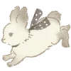 🐇