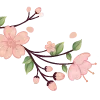 🌸