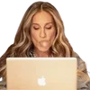 💻