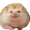 🦔