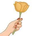 🌷