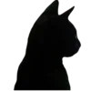 🐈‍⬛