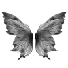 🦋