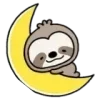 🌙