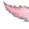 🪽