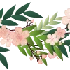 🌸
