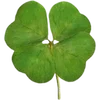 🍀