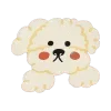 🐶