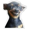 🤪