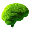 🧠