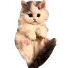 😊