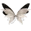 🦋
