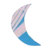 🌙