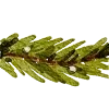 🎄