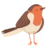 🐥