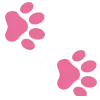🐾