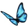 🦋