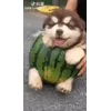 🙂