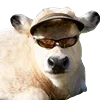 😎