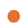 🟠