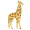 🦒