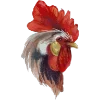 🐔