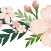 🌸