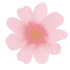 🌸
