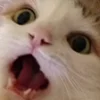 😱
