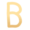 🌟