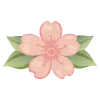 🌸
