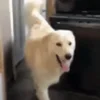 🤨