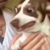 😶