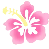 🌺