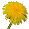 ⭐