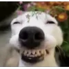 😁