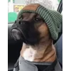 😎